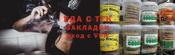 гидра Дмитров