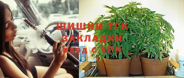 герыч Шали