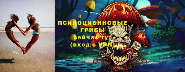 гидра Дмитров