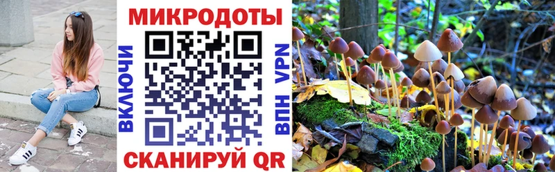 Галлюциногенные грибы Psilocybine cubensis  Купить  Нарьян-Мар 